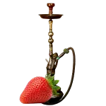 Özel nargile takımı ve tütün çeşitleri, nargile servisi