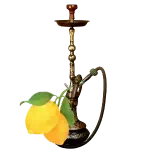 Özel nargile takımı ve tütün çeşitleri, nargile servisi